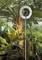 A thermometer in front of a tropical plant in the greenhouse shows a temperature of approximately 24 degrees Celsius.