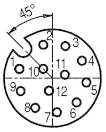 Technical drawing of a circular plug connection plan with twelve numbered pins and a 45-degree reference angle in the top left corner.