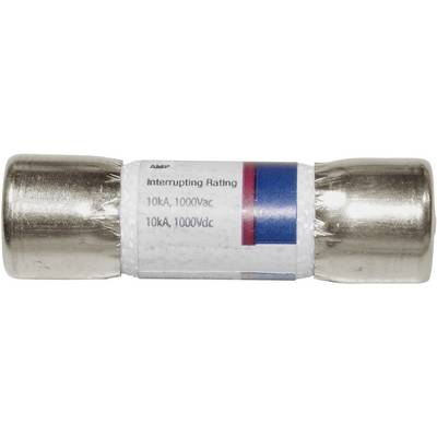 A cylindrical fuse with label: 'Interrupting Rating 10kA, 1000Vac, 10kA, 1000Vdc'.