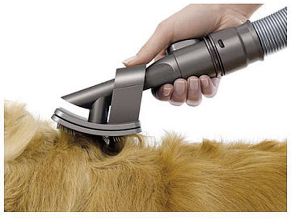 dog brush attachment for dyson