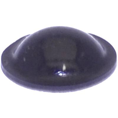 TOOLCRAFT PD2010SW Foot self-adhesive, circular Black (Ø x H) 10 mm x 3.1 mm 1 pc(s) 