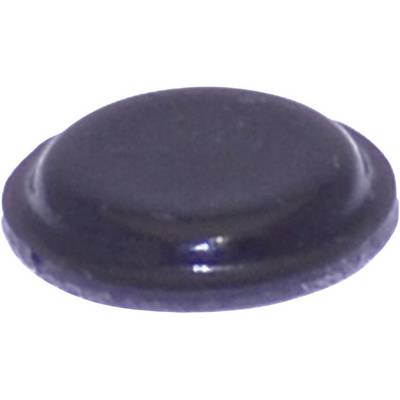 A black, round button on a white background.