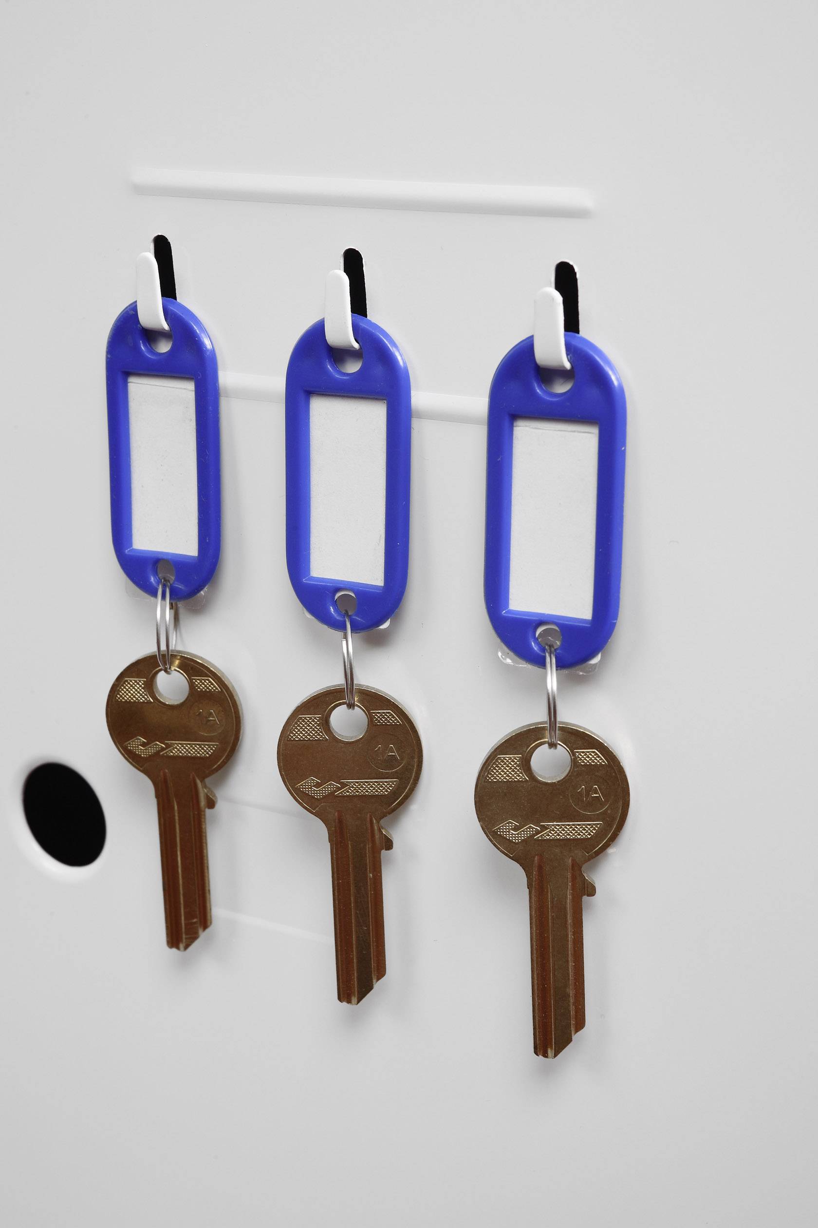 Three keys hang side by side on blue key rings from white hooks.