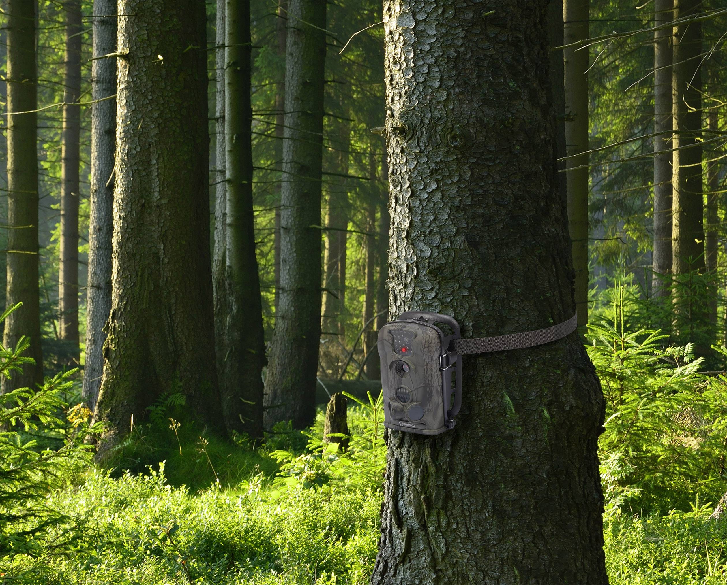 Renkforce IR12MP Wildlife camera 12 MP Black LEDs Camouflage-1