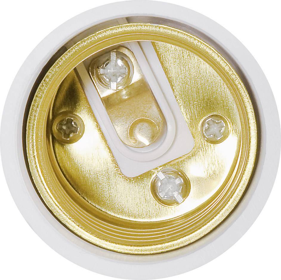 Gold-coloured lamp socket in close-up, showing contact points and screw holes, intended for light bulbs.