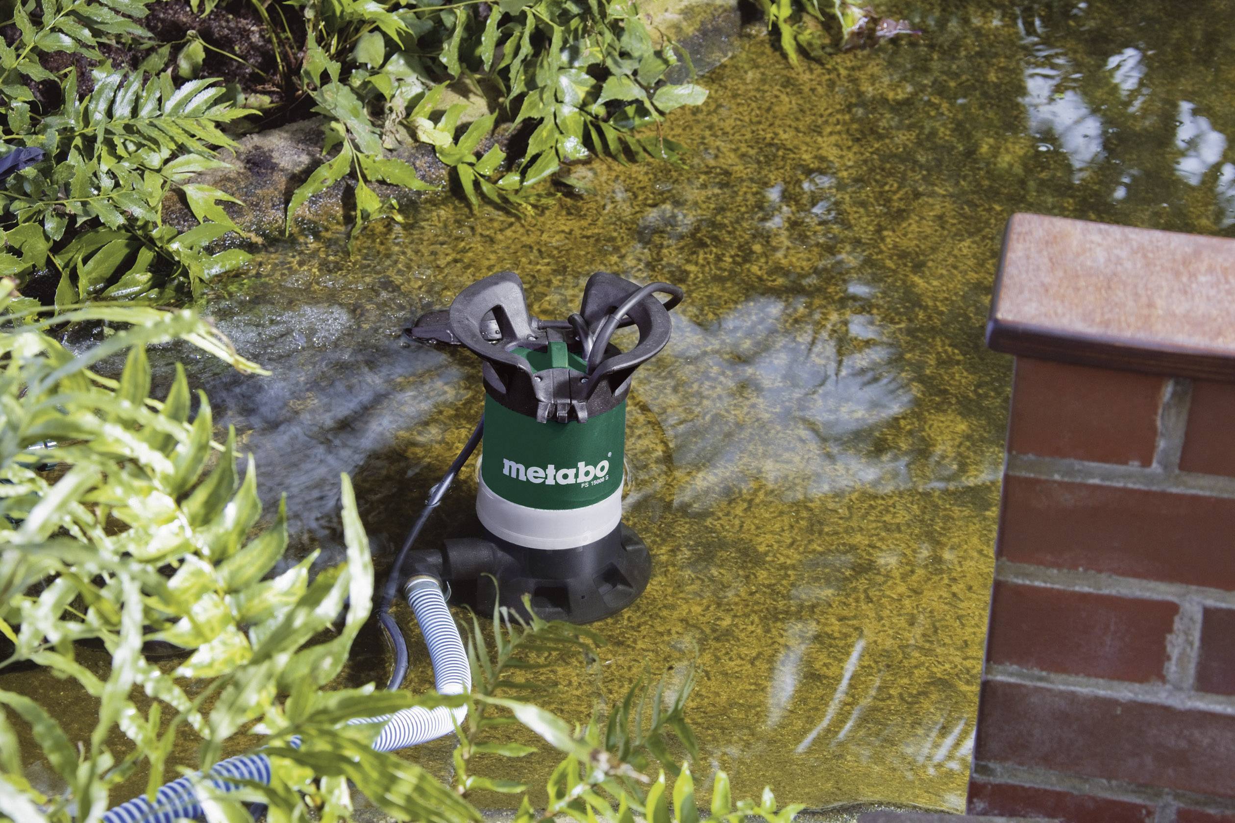 A green water pump stands in the pond, surrounded by ferns and brickwork. A hosepipe is connected to the pump.
