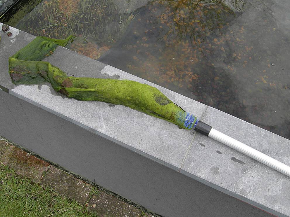 A green net for removing algae from a swimming pond lies on a grey concrete base next to the water.