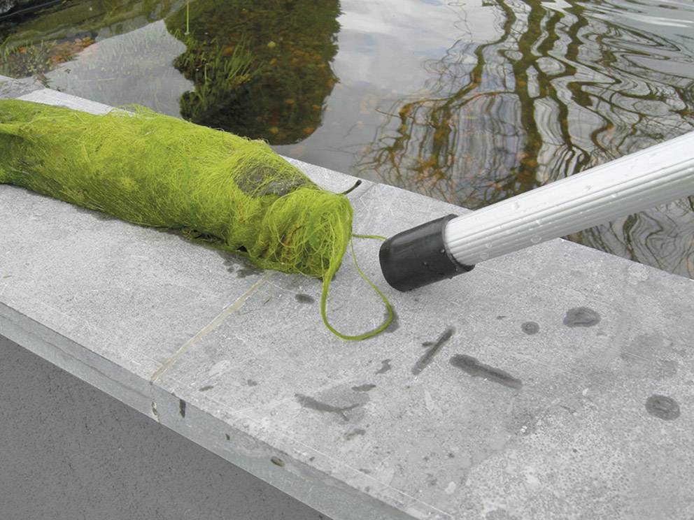 A net with green algae lies on a stone wall beside a pond. A rod with a black end can be seen next to it.
