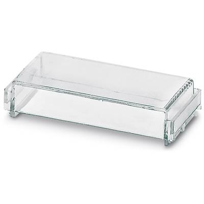 A transparent, rectangular glass container without a lid, typically used for laboratory or microscopy applications.