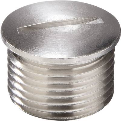 Metal screw with a flat head and a slot for a slotted screwdriver, in close-up.