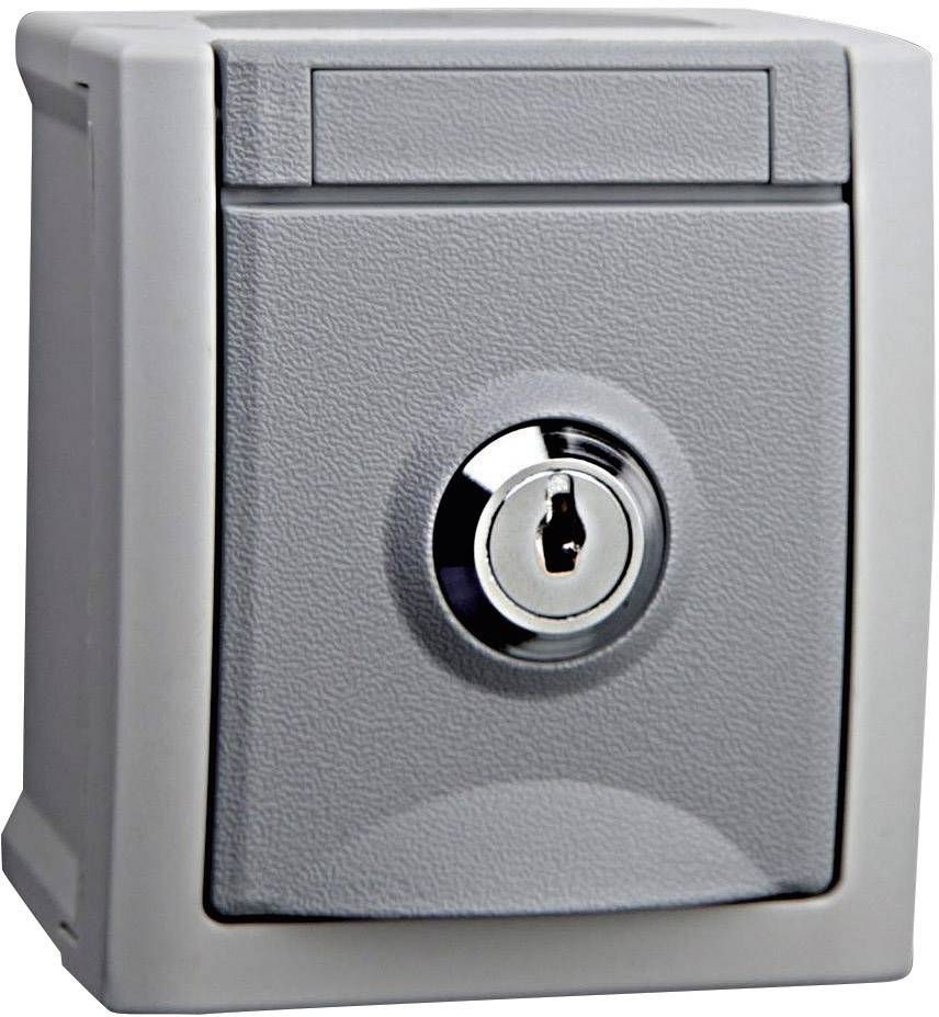 Grey, square casing with a central keyhole on the front. It looks like a fuse box or switch housing.