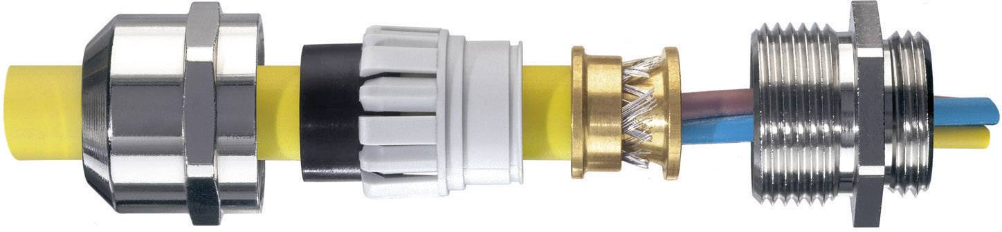 Wiska 10100963 Cable gland M75 Brass Brass 1 pc(s)