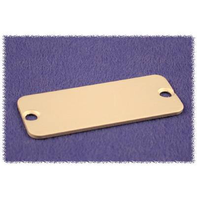 A rectangular, metallic plate with two holes at the ends lies on a blue surface.