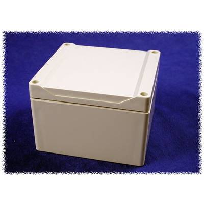 White, square plastic container with a removable lid on a blue background.