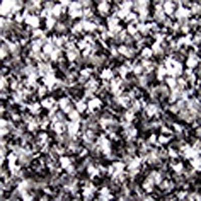 COBA Europe SP010602 Supreme Dirt trap mat (L x W) 1.5 m x 0.9 m  Black, Grey