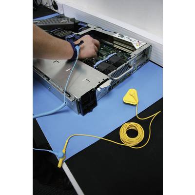 'A person is installing RAM into an open server while wearing an earthing wristband to prevent electrostatic discharge.'