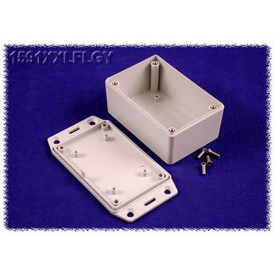 An opened grey plastic enclosure with the lid removed, showing four screws against a blue background. The top surface displays an embossed marking '1591XXLFLGY'.