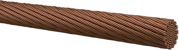 Kabeltronik 401002500-1 Strand 1 x 0.25 mm² Copper Sold per metre