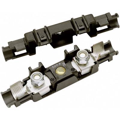 Fuse holder for flat fuses, open, with two metal contacts and a fuse. Suitable for a 100 A fuse.