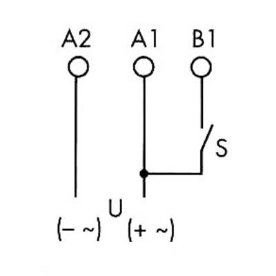 Circuit diagram shows three terminals A2, A1 and B1. A1 connected to B1 via switch 'S'. Voltage U indicated between A2 and A1.