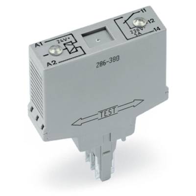 Grey-and-white test plug with 'TEST' labelling. Terminals A1, A2, 24V and 12V shown at the top. Rectangular housing.