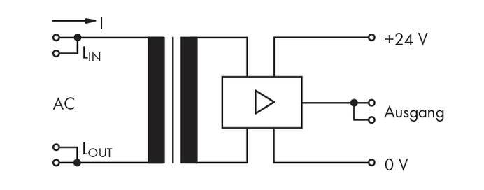 'Schematic diagram of an amplifier: LIN and LOUT inputs, alternating current (AC); output with +24 V, 0 V and labelled as "Output".'