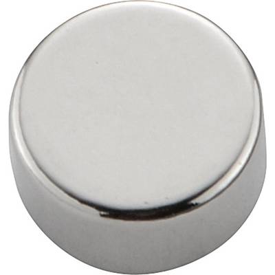 'A round, shiny, silver metallic surface, possibly a button or magnetic disc.'