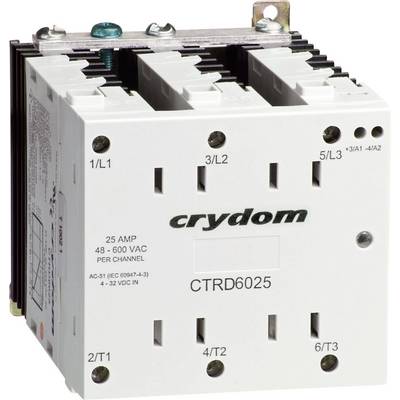 A Crydom relay model designated 'CTRD6025', suitable for 48-600 VAC and 25 Amperes, illustrates the connections.