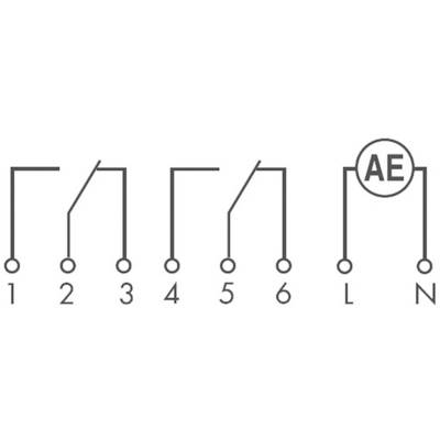 'Circuit diagram with six switches: 1, 2, 3, 4, 5, 6 and AE. L and N are also marked.'