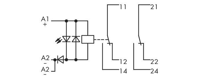 Circuit diagram of a relay with coil voltage at A1/A2 and switching contacts 11/12/14 and 21/22/24, with diodes in parallel with the coil.