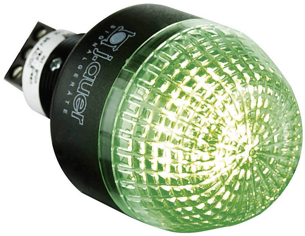 Auer Signalgeräte Light LED ITL 802726405 Red, Green Non-stop light signal 24 V DC, 24 V AC-1