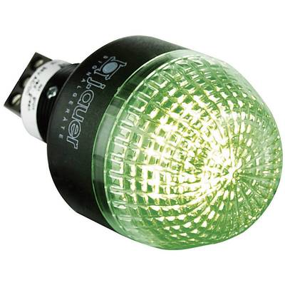 Auer Signalgeräte Light LED ITL 802726405 Red, Green Non-stop light signal 24 V DC, 24 V AC-1
