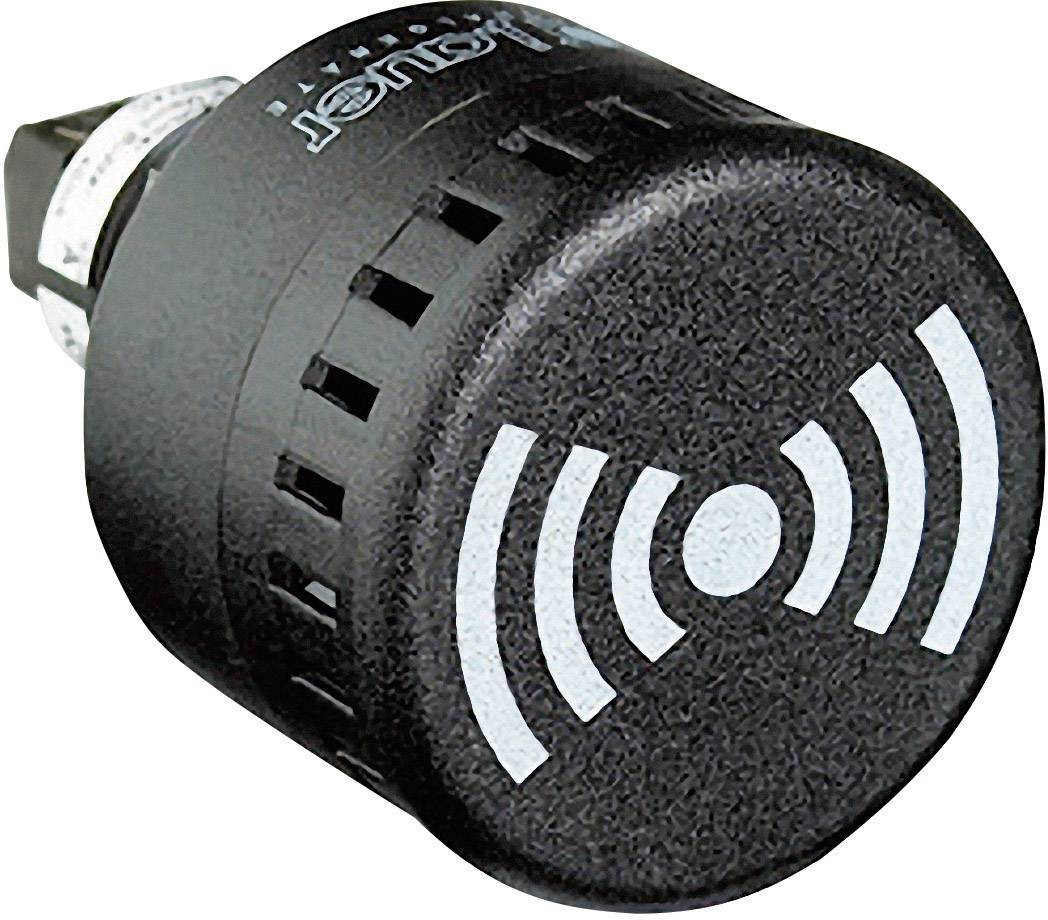 Auer Signalgeräte Buzzer 813500405 ESM Non-stop acoustic signal, Acoustic pulse 12 V DC, 12 V AC, 24 V DC, 24 V AC 65 dB-0