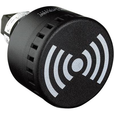 Auer Signalgeräte Buzzer  814500405 ESG  Non-stop acoustic signal, Acoustic pulse, Wobble tone 12 V DC, 12 V AC, 24 V DC