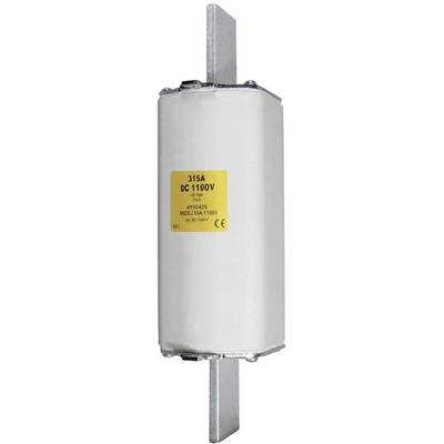 A cylindrical fuse marked with '315A DC 1100V'. It has metal contacts at both ends and a yellow information label.