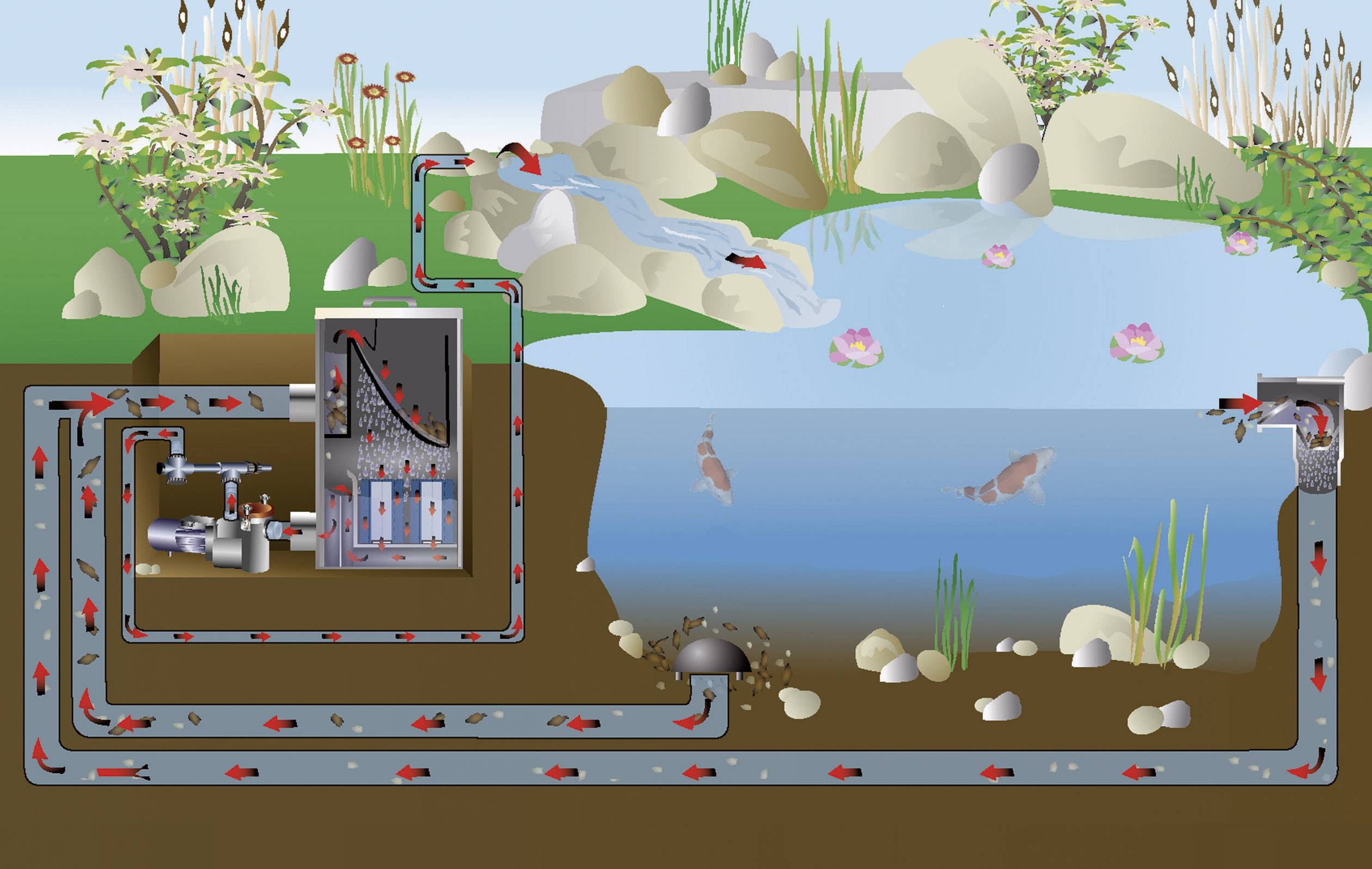 The image depicts a pond filtration system. Water flows through pipes to a filter housing and back into the pond, where fish are swimming.