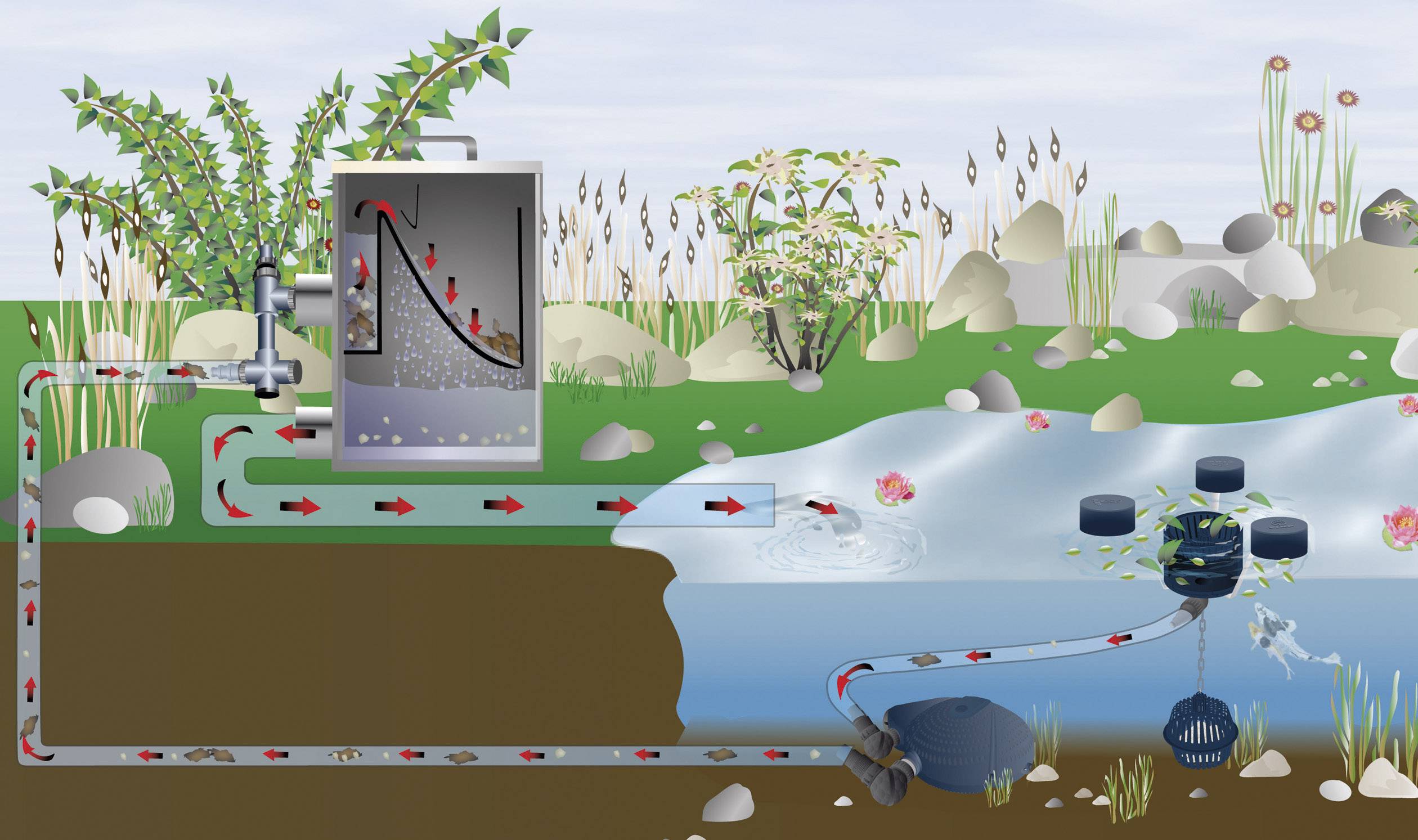 Diagram of a water filtration system: Water flows through pipes into a filter container, purified into a pond; cycle illustrated.
