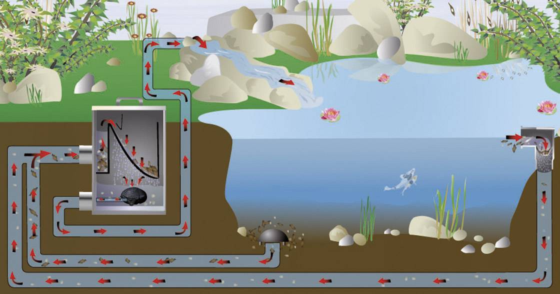 Diagram of a Pond Filter System: Water is pumped from the pond through the filter, cleaned, and returned to the pond.