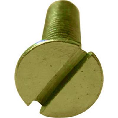 A golden slotted screw, photographed head-on.