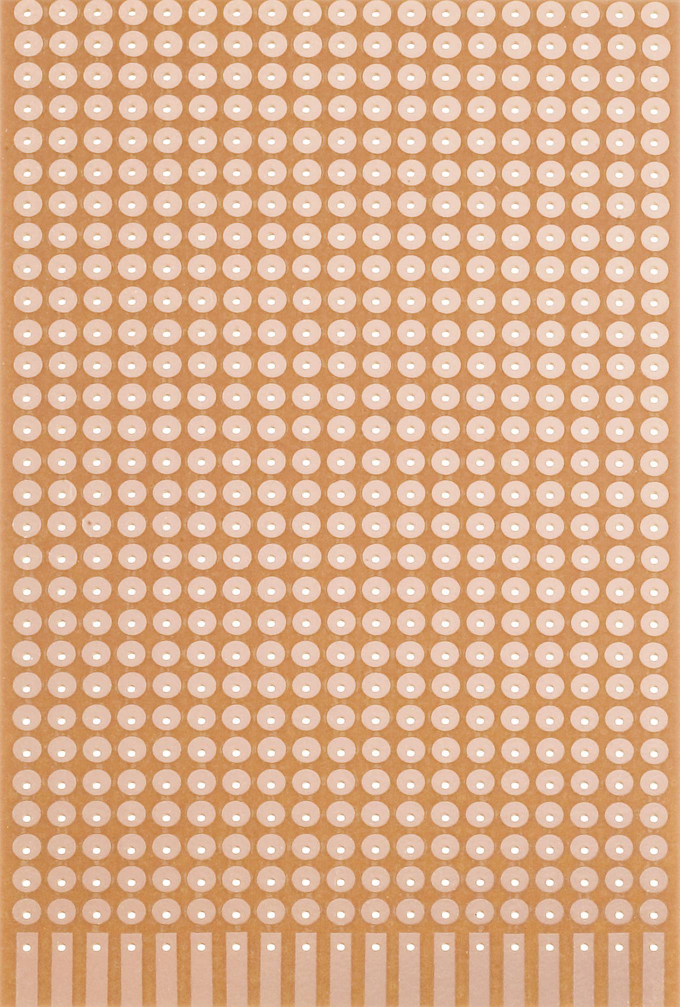 Rademacher VK C-821 Laboratory Card One-sided plug contacts for 19-pin Direct plugs (L x W) 160 mm x 100 mm HP with Cu.-edition