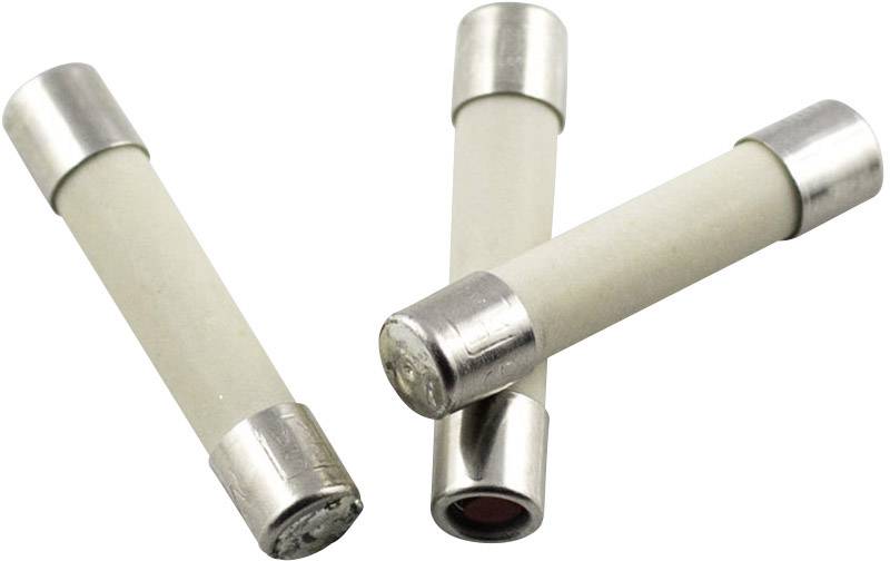 ESKA 528.22 52822 Micro fuse (Ø x L) 5 mm x 25 mm 3.15 A 250 V Medium time-lag -mT- Content 10 pc(s)