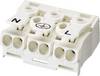 Adels-Contact 21740 LK 980-01/3 B Lamp terminal flexible: -2.5 mm² fixed: -2.5 mm² Number of pins: 3 1 pc(s) White