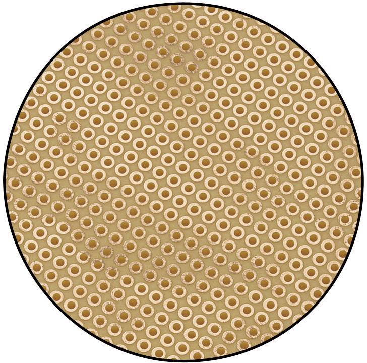 TRU COMPONENTS SU527441 Eurocard PCB Phenolic paper (L x W) 160 mm x 100 mm 35 µm Contact spacing 2.54 mm Content 1 pc(s-1