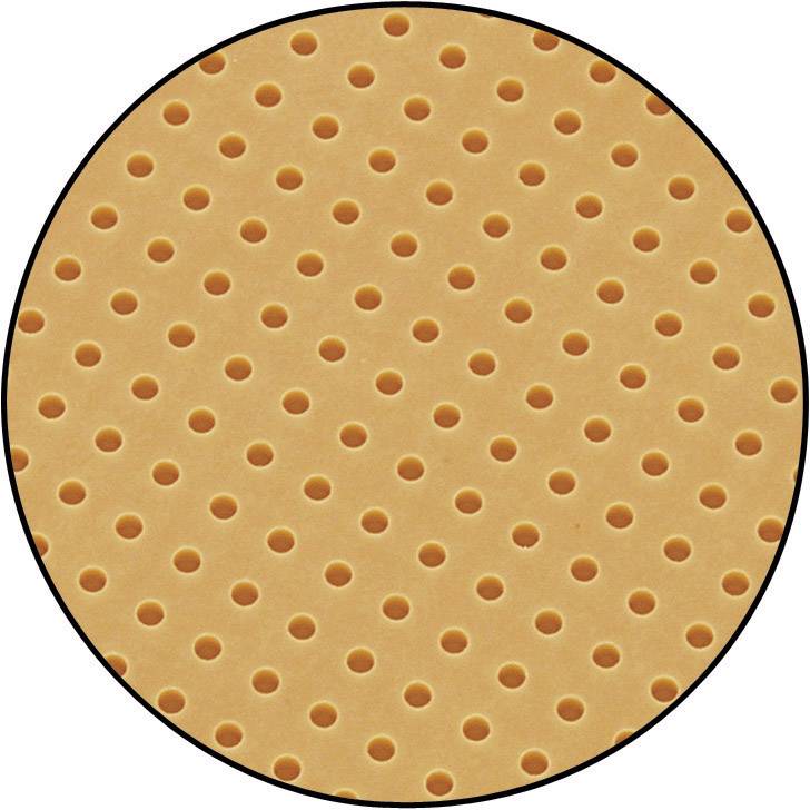 Round, brown, perforated surface with evenly distributed small holes, appearing like a porous material or ventilation surface.