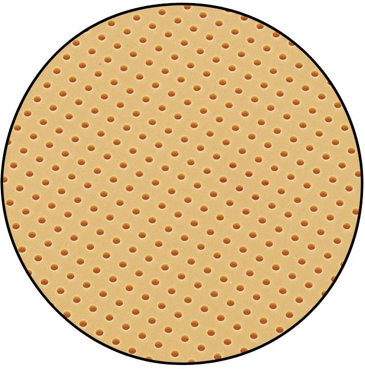 TRU COMPONENTS SU528455 Eurocard PCB w/o Cu-coating Phenolic paper (L x W) 160 mm x 100 mm Contact spacing 2.54 mm Conte-1