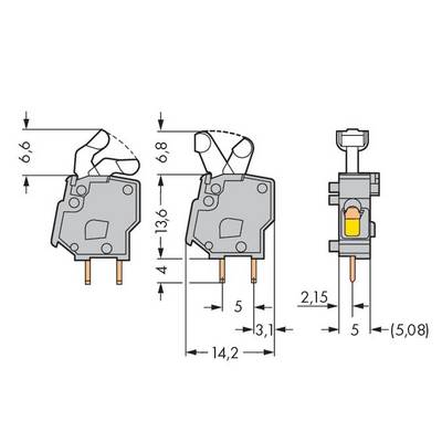 Technical drawing of a switch with dimensions: Height 13.6 mm, Width 5 mm, Depth 14.2 mm. Shows different views and spacings.