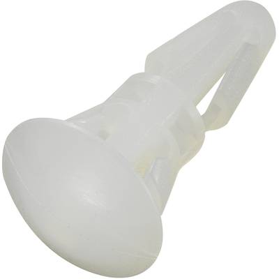 White plastic wall plugs for securing items to walls.