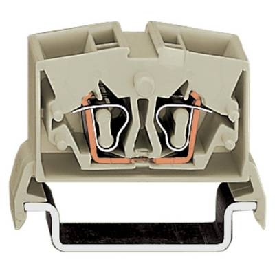 Illustration of an electrical terminal block in a light colour. Shows the internal metal contacts and mechanical construction.