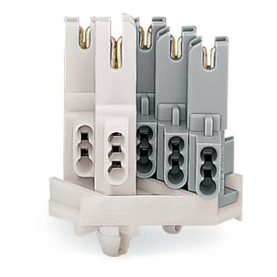 Four-pole connector block in beige and grey, vertically positioned, with various connection options.