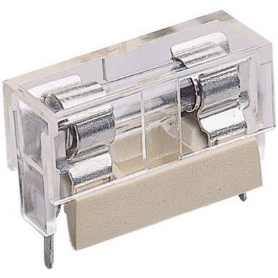 A transparent plastic fuse holder with metal contacts that encloses a glass cartridge fuse.